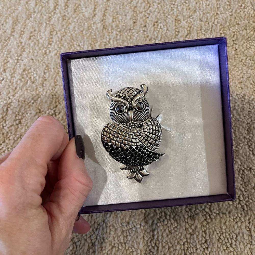 New Large owl brooch